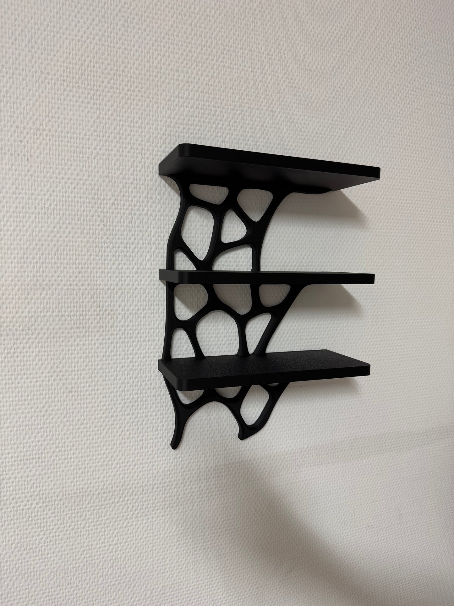 Modernes Wandregal mit organischem Design